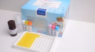 阪崎肠杆菌恒温核酸检测试剂盒