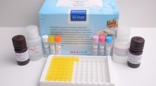 大肠埃希氏菌O157：H7恒温核酸检测试剂盒