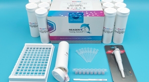 磺胺快速检测试剂卡