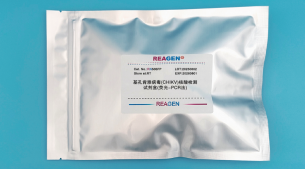 基孔肯雅病毒核酸检测试剂