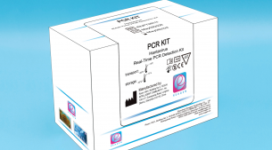 Generic Name: Hantavirus Real-Time PCR Detectio